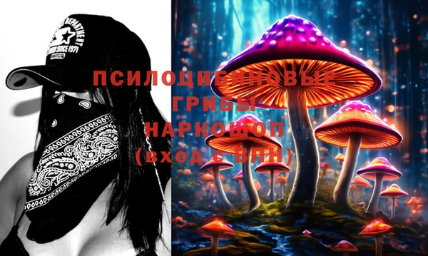 индика Алексеевка