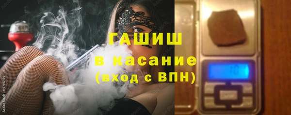 гашик Алексин