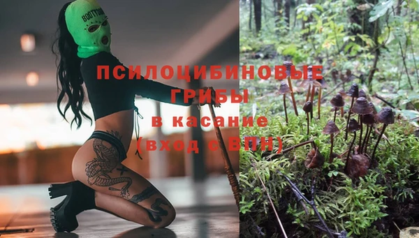 гашик Алексин