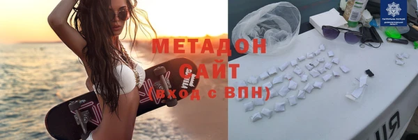 гашик Алексин