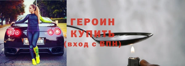 гашик Алексин