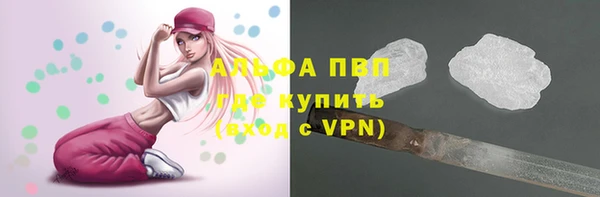 гашик Алексин