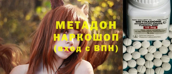 индика Алексеевка