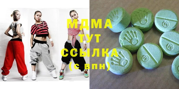 гашик Алексин