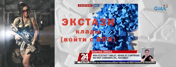 гашик Алексин