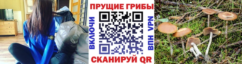 hydra маркетплейс Арамиль Псилоцибиновые грибы ЛСД даркнет состав что такое наркотик